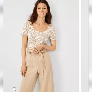 Zebra Stripe Scoop Neck Top Size S NWOT